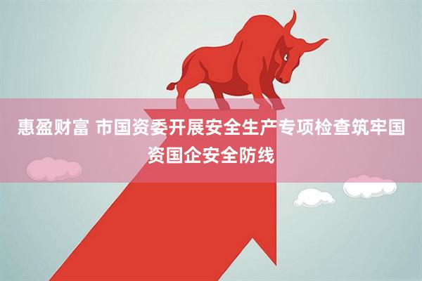 惠盈财富 市国资委开展安全生产专项检查筑牢国资国企安全防线