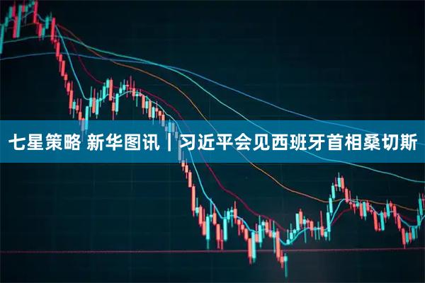 七星策略 新华图讯｜习近平会见西班牙首相桑切斯